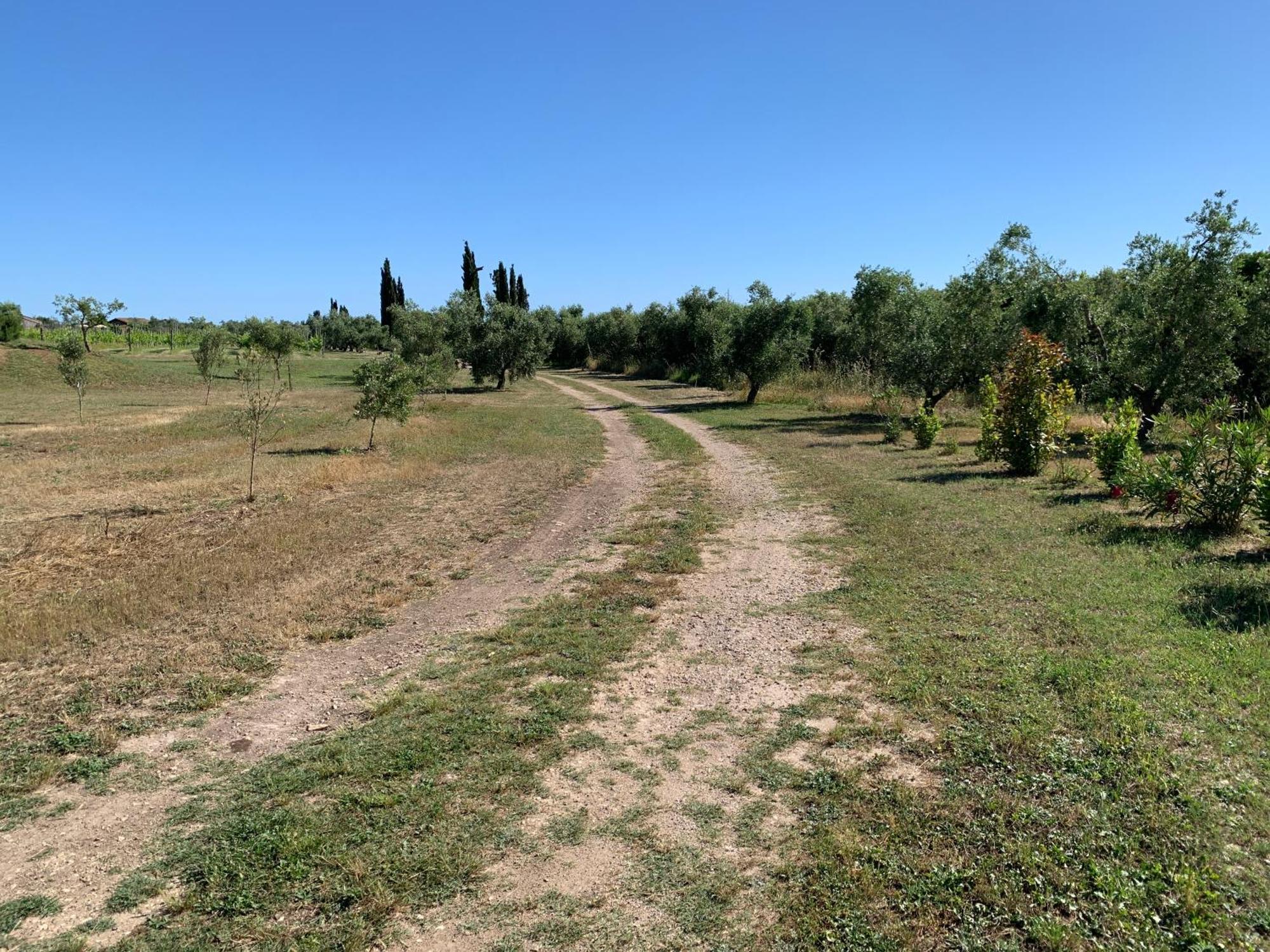 Resort Fonte Vulci Canino المظهر الخارجي الصورة